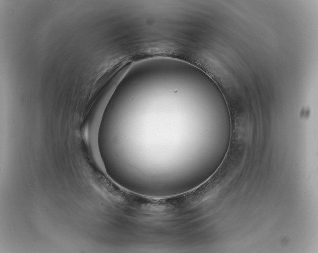 X0000092060255200709121400