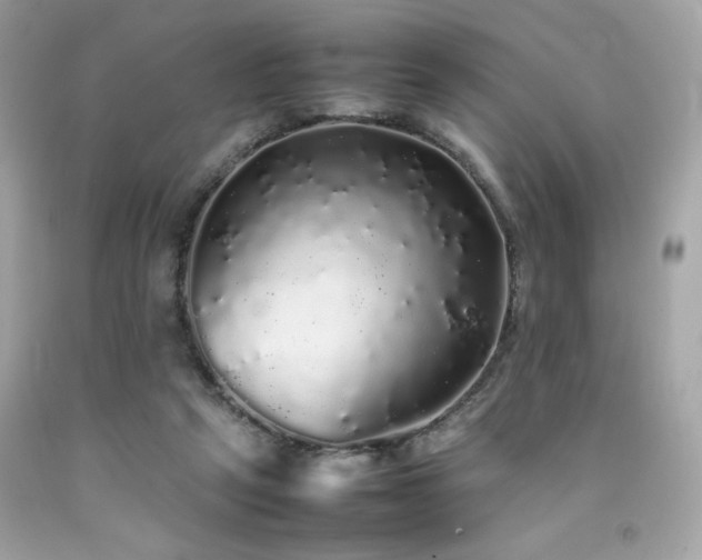 X0000092060257200709121400