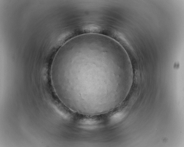 X0000092060259200709121400