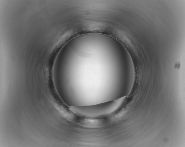 X0000092060260200709121400