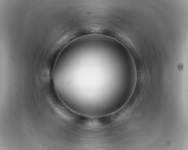 X0000092060262200709121400