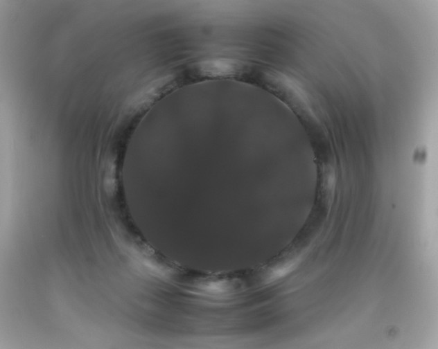 X0000092060267200709121400