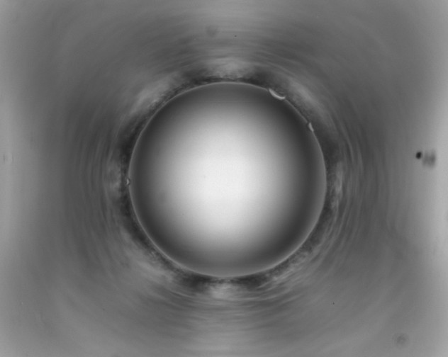 X0000092060268200709121400