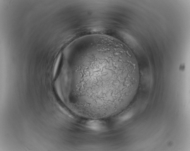 X0000092060269200709121400