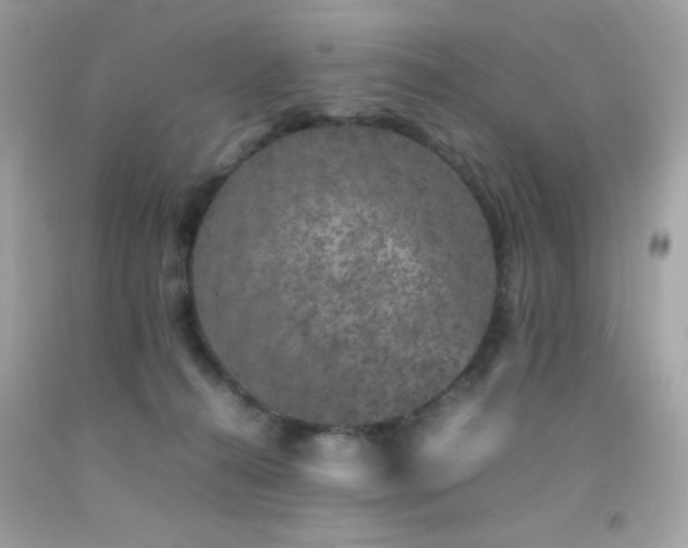 X0000092060272200709121400