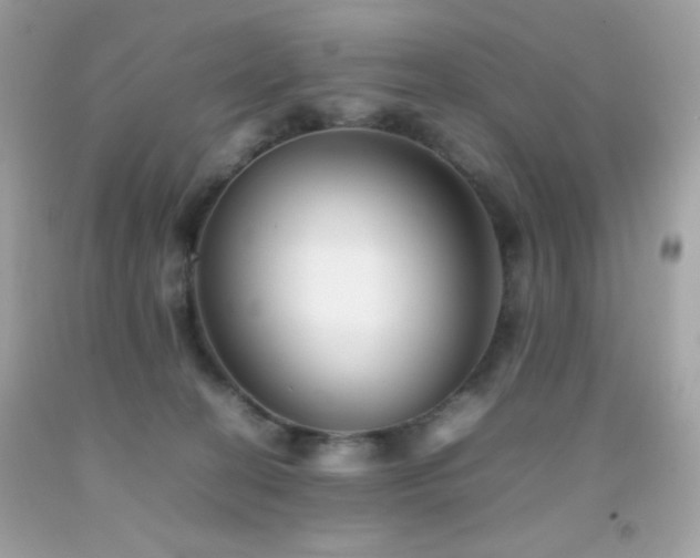X0000092060274200709121400