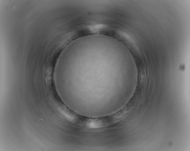 X0000092060275200709121400