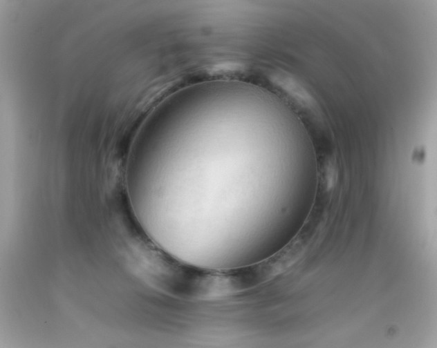 X0000092060276200709121400