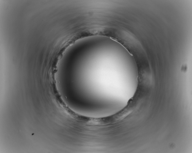 X0000092060280200709121400