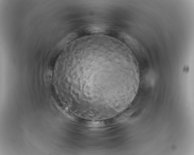 X0000092060281200709121400