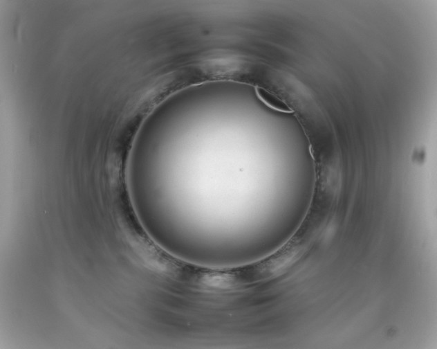 X0000092060283200709121400