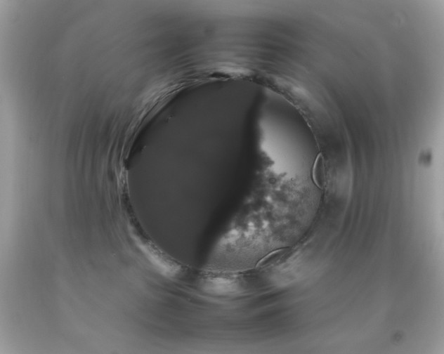 X0000092060285200709121400