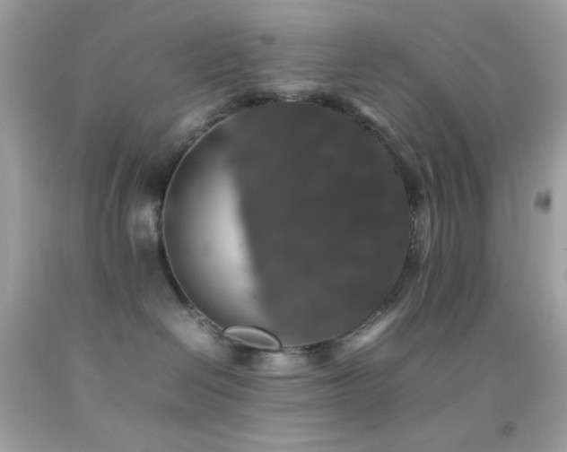 X0000092060286200709121400