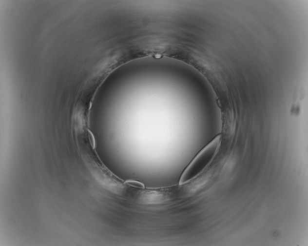 X0000092060287200709121400