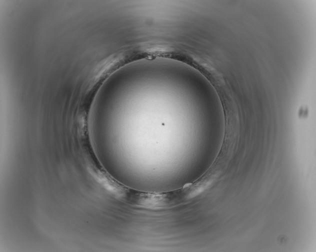 X0000092060288200709121400