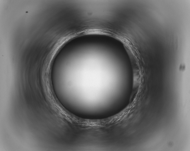 X0000092060289200709121359