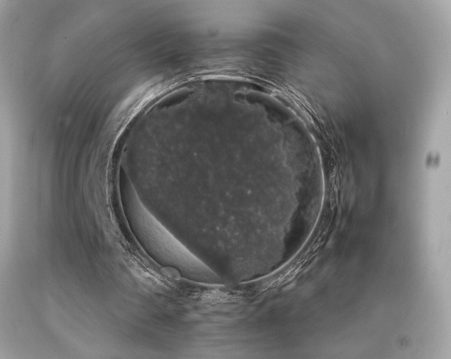 X0000092060290200709121359