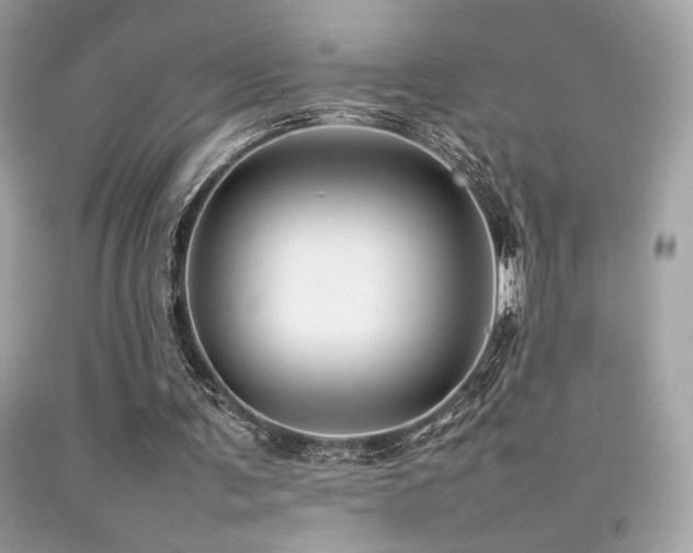X0000092060291200709121359