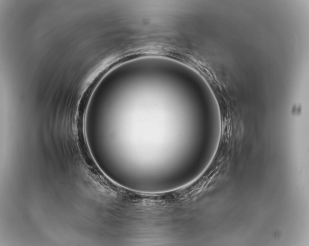 X0000092060292200709121359