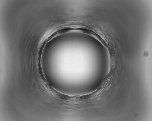 X0000092060293200709121359