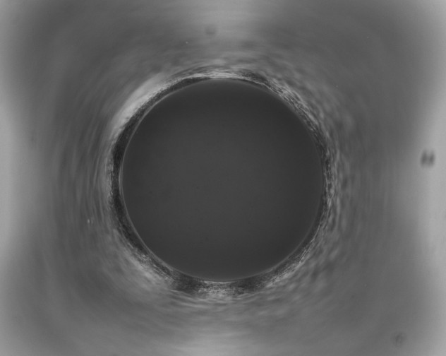 X0000092060295200709121359