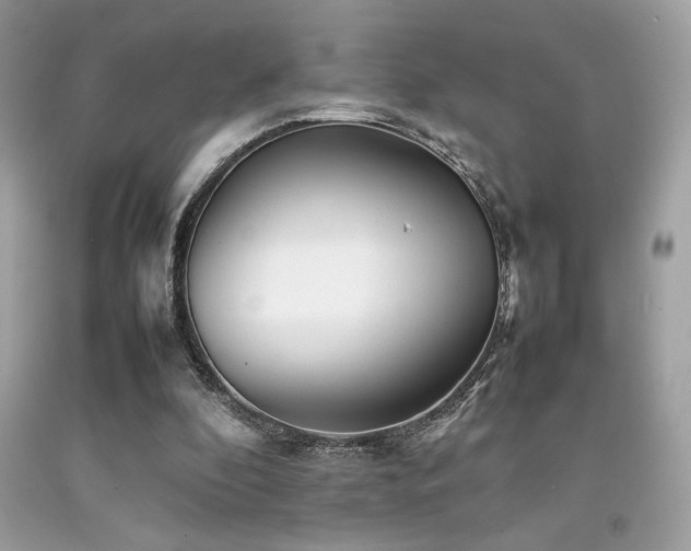 X0000092060296200709121359