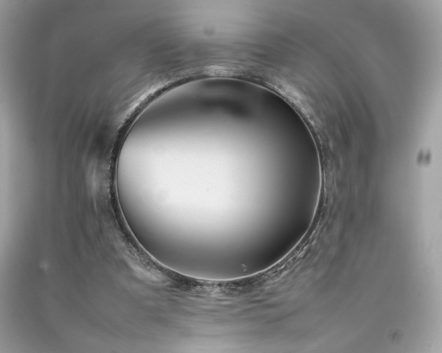 X0000092060297200709121359