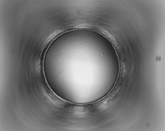 X0000092060298200709121359