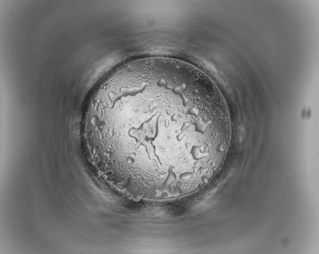 X0000092060299200709121359