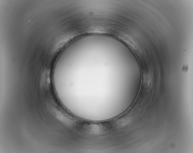X0000092060302200709121359
