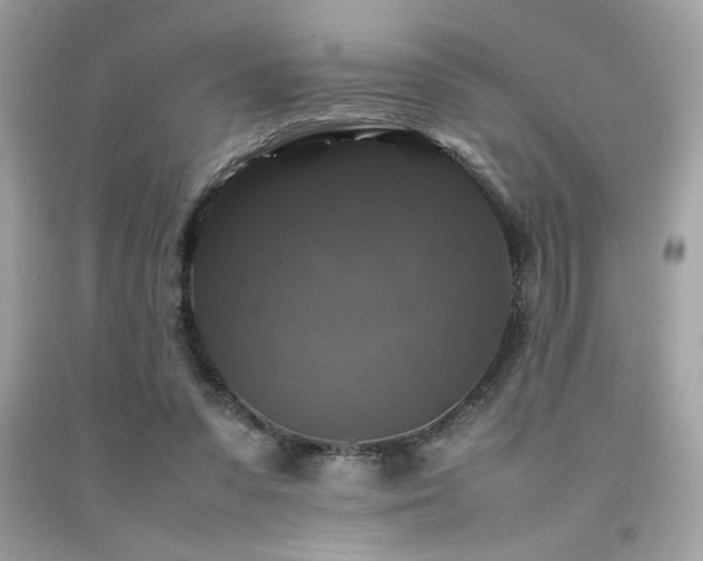 X0000092060303200709121359