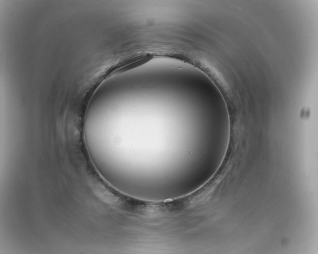 X0000092060305200709121359