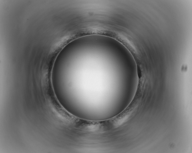 X0000092060306200709121359
