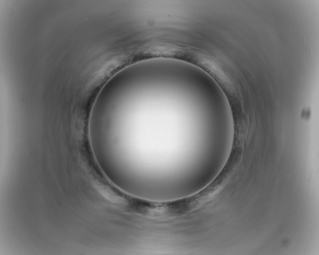X0000092060309200709121359