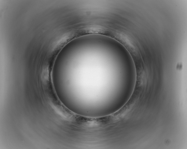 X0000092060310200709121359
