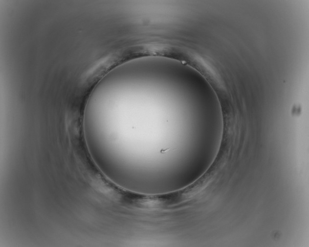 X0000092060313200709121359