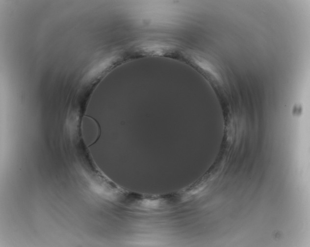 X0000092060314200709121359