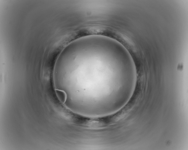 X0000092060315200709121359