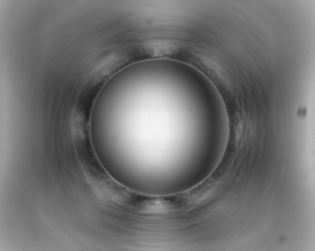 X0000092060316200709121359