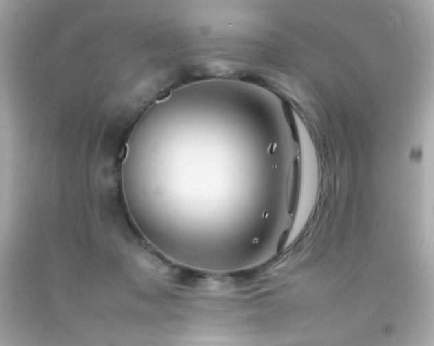 X0000092060317200709121359
