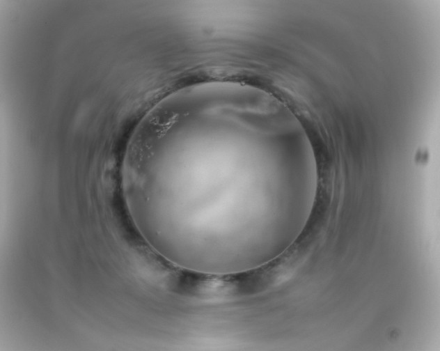 X0000092060319200709121359