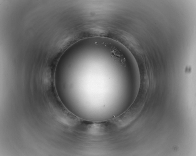 X0000092060320200709121359