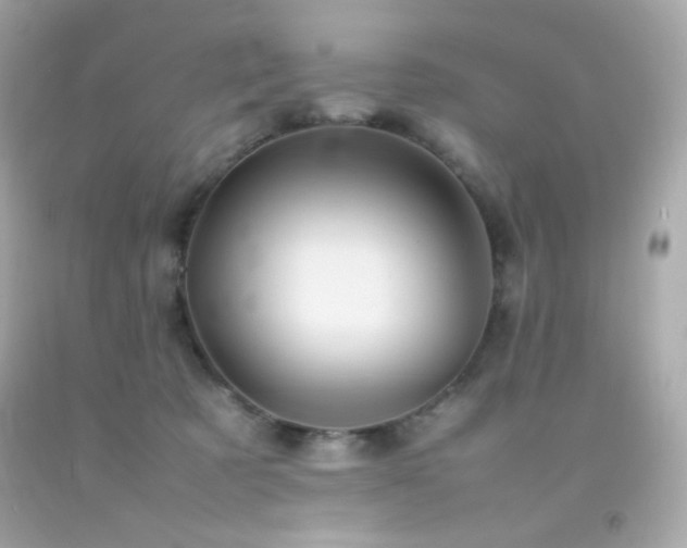 X0000092060321200709121359