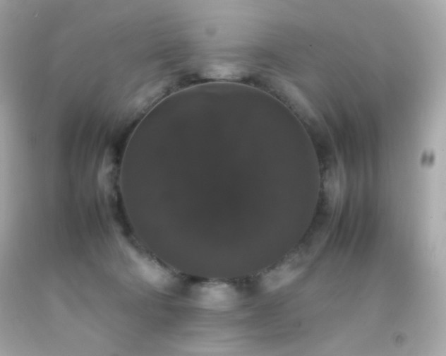 X0000092060322200709121359