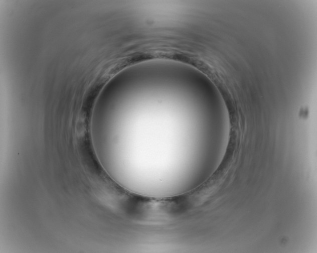 X0000092060323200709121359