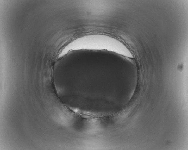 X0000092060325200709121359