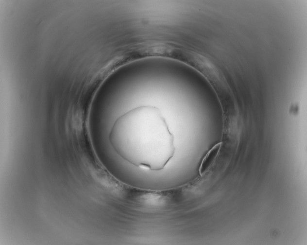 X0000092060326200709121359