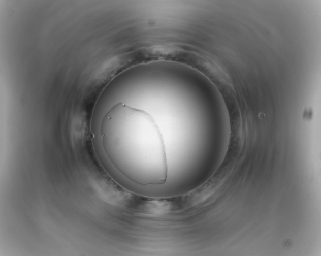 X0000092060328200709121359