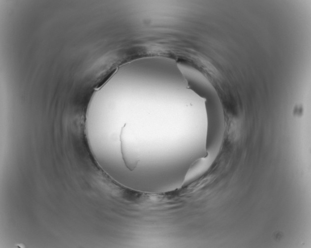 X0000092060329200709121359