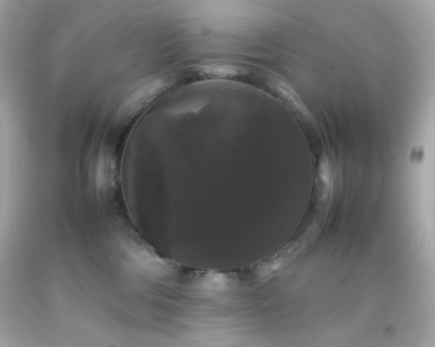 X0000092060330200709121359
